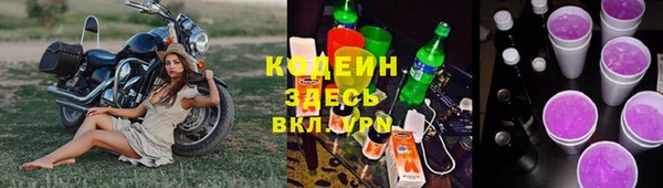 амф Тутаев