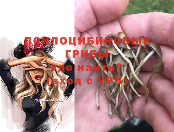спиды Тында
