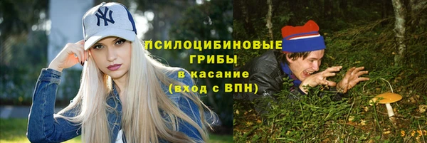 спиды Тында