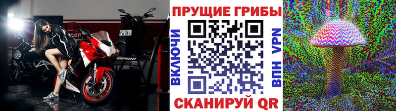 Галлюциногенные грибы Magic Shrooms  наркотики  Бор 