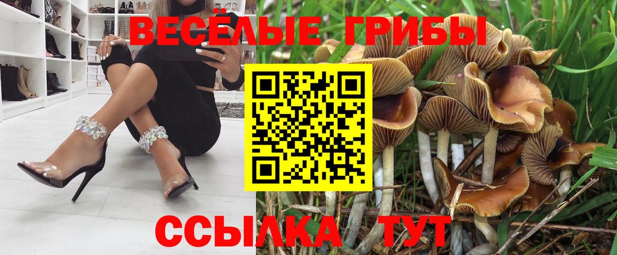 магазин продажи   Бор  Галлюциногенные грибы Magic Shrooms  Псилоцибиновые грибы MAGIC MUSHROOMS 