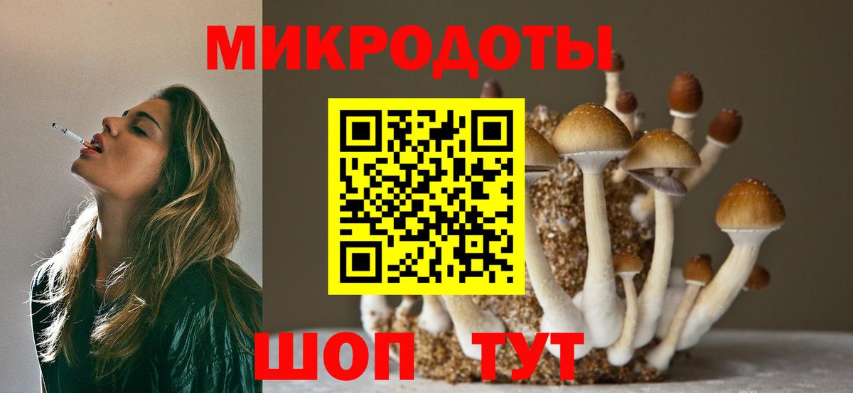 Бор  дарнет шоп  Вход с VPN  Псилоцибиновые грибы ЛСД 